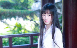 热播短剧资讯，我和美女总裁有个娃与荒岛余生三世桑桑免费阅读--第1张
