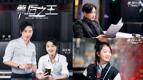前妻的逆袭电视剧，剧情简介及演员阵容--第1张