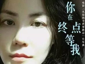 热播短剧资讯，世上无人再似她，小说世上无人在像她引人入胜--第1张