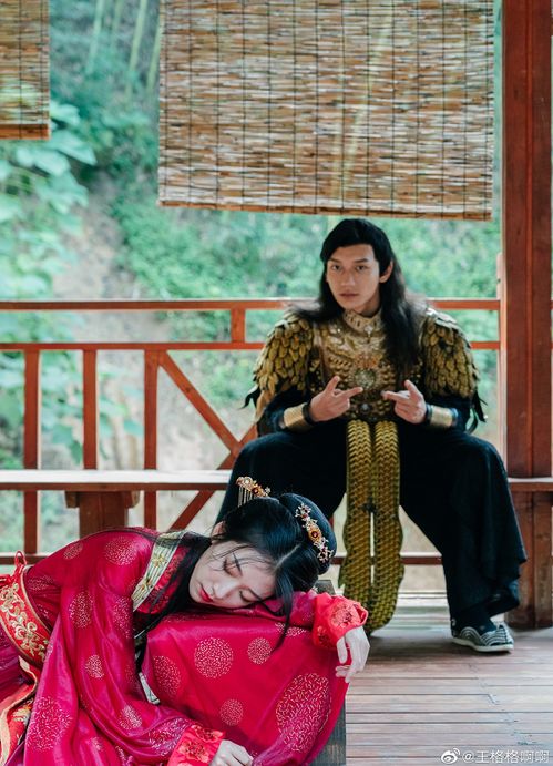 霍少的哑巴新娘，叶满溪与何健麒的婚姻故事引发热议--第1张