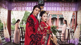王爷王妃又开挂了，热播短剧资讯下载--第1张