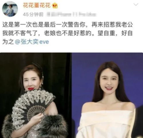 替嫁新娘，总裁夫人又美又飒--第1张