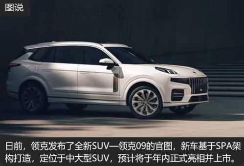 灵魂互换后之叶总爱转行--第1张