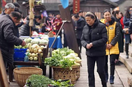 十年后我回村炸翻全场，重回故乡，掀起一场狂欢浪潮！--第1张