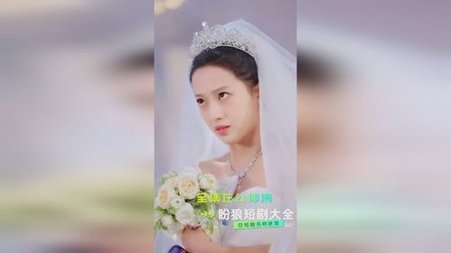 甜蜜闪婚进行时短剧最新资讯 甜蜜闪婚安夏免费阅读 --第1张