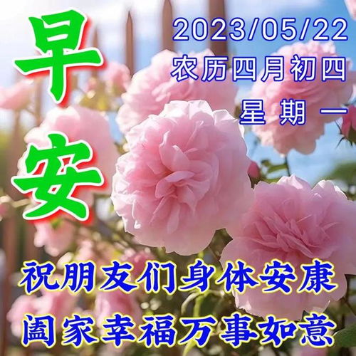 再见祝你幸福短剧表情包更新内容介绍--第1张