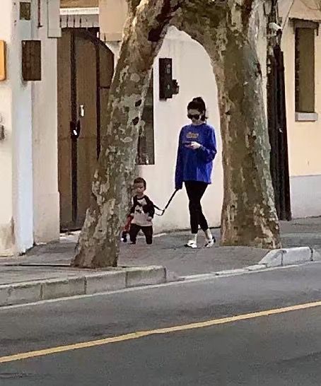 离婚总裁全球疯找，孕肚女主消失后的惊人秘密--第1张