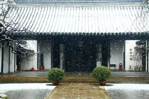 宫墙下雪，宫墙雪短剧最新动态--第1张