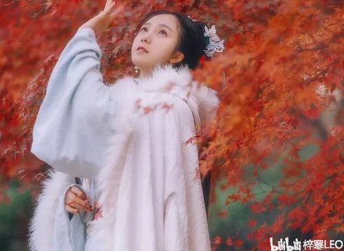 穿越炮灰女配，美食征服世界--第1张