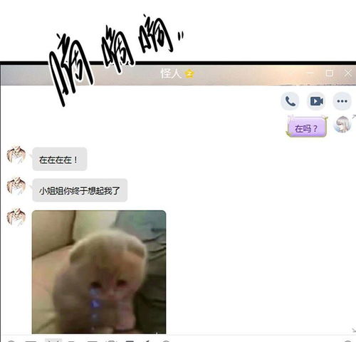 六个大佬的心尖团宠 六个大佬的心尖宠终于离婚了短剧最新资讯 --第1张