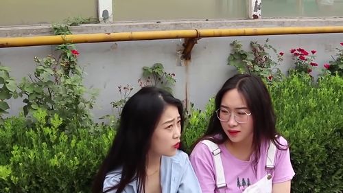 顾总替嫁妹妹不好惹短剧，顾总替嫁妹妹的最新资讯和下载资源--第1张