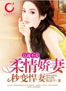 娇妻别逃总裁拒做前夫 娇妻别想逃，沈少的漫漫追妻路 --第1张