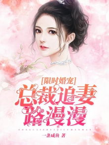 第一婚宠小说免费阅读全文 第一婚宠短剧最新资讯 --第1张