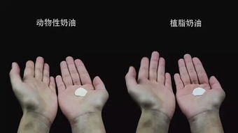 掌心刺短剧更新，你是我的手掌心--第1张