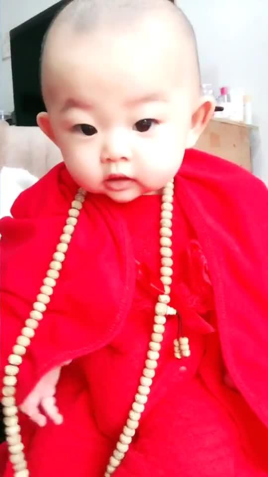 女王的呆萌小和尚长篇版短剧，呆萌小和尚的最新资讯与在线观看--第1张