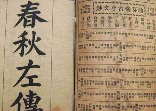 从今天开始做藩王，藩王短剧最新动态--第1张