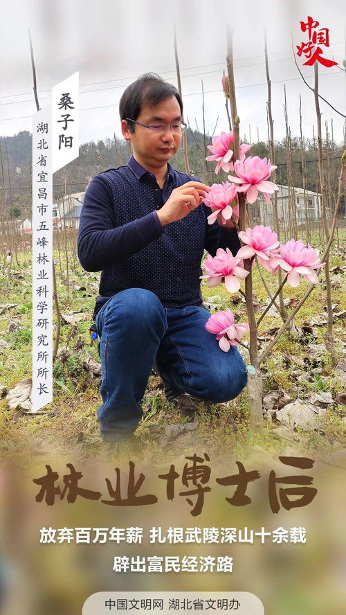巧识少年情深种短剧最新免费资讯--第1张