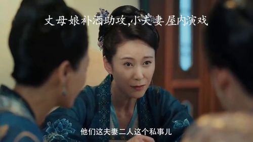 赘婿打丈母娘大结局_赘婿丈母娘第几集--第1张