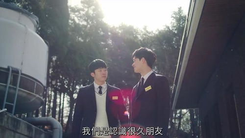 爱上我的男保镖，短剧最新资讯--第1张