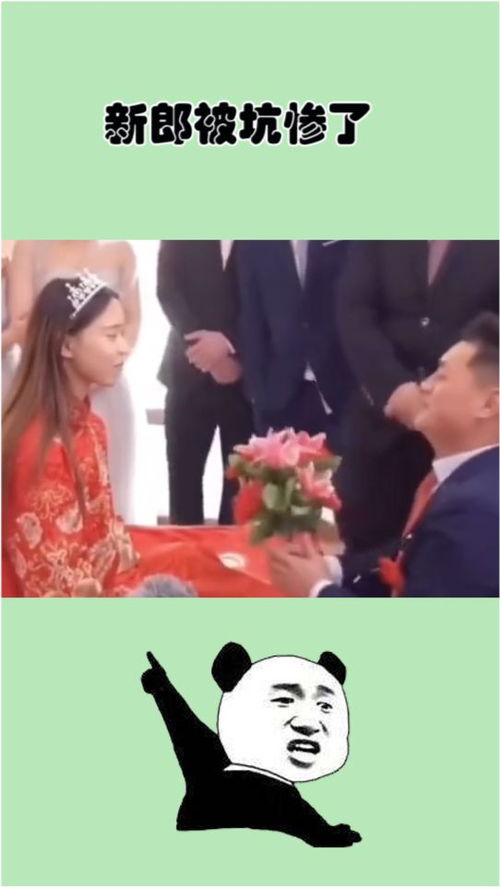 新婚夜总裁逼我给白月光下跪短剧最新资讯 新婚总裁狠神秘 --第1张