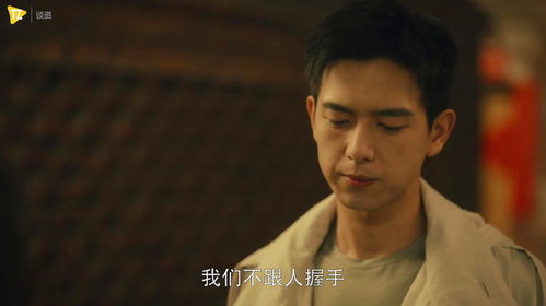 晚风ht独家，倾情旧人归短剧最新动态--第1张