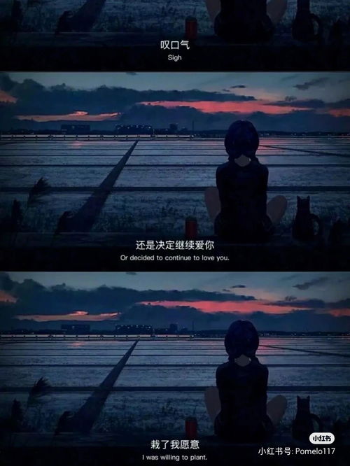 愿为你摘星短剧，最新资讯在线观看--第1张