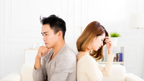 离婚后我被渣男的哥哥宠上天短剧最新资讯 被离婚后我c位爆红[穿书] --第1张