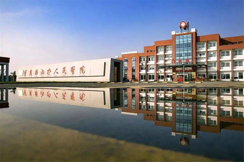 林深啥意思 林深暗香来短剧最新资讯 --第1张