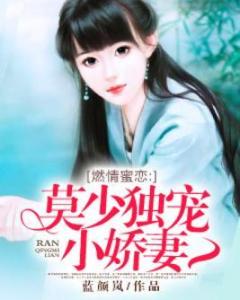 商先生的独宠小娇妻，商先生的宠妻指南免费阅读最新资讯--第1张