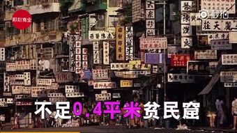 贫民窟里的亿万富翁 贫民窟里的亿元户短剧最新资讯 --第1张