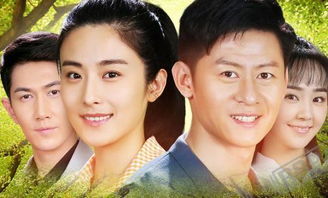 从退婚开始逆袭，开局开后宫--第1张