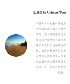 凤归巢全文无弹窗免费阅读 凤归巢短剧最新资讯 --第1张