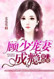 顾总在逃小宠妻--第1张