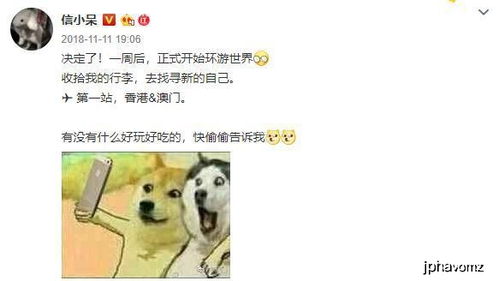  雀笼离职后我被老板宠上天短剧最新资讯 --第1张