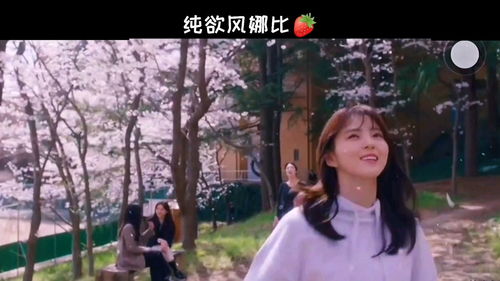 无法抗拒的他全集免费观看资讯--第1张