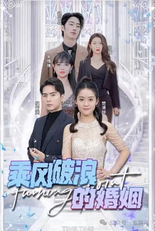 乘风破浪求婚短剧全集免费观看资讯--第1张