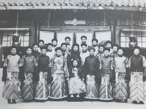 穿到古代去创业短剧全集免费观看资讯 穿到古代找工作 --第1张