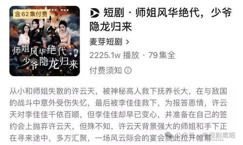 被迫和顶级大佬闪婚了短剧全集免费观看资讯--第1张