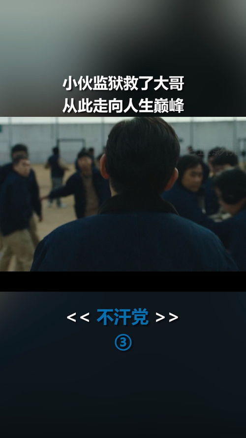人生巅峰崛起之巅峰时刻，免费观看全集短剧资讯--第1张