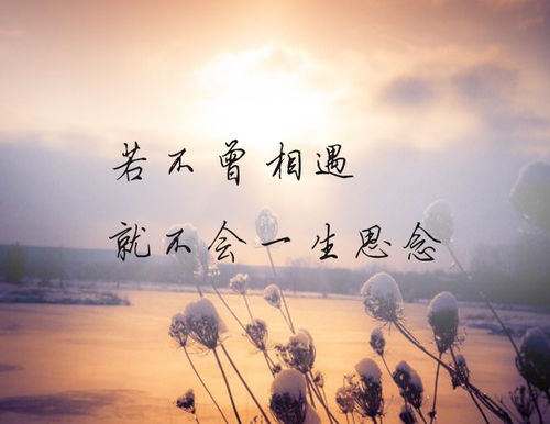此生有你心安短剧全集免费观看资讯 此生有你心安短剧全集免费观看资讯 --第1张