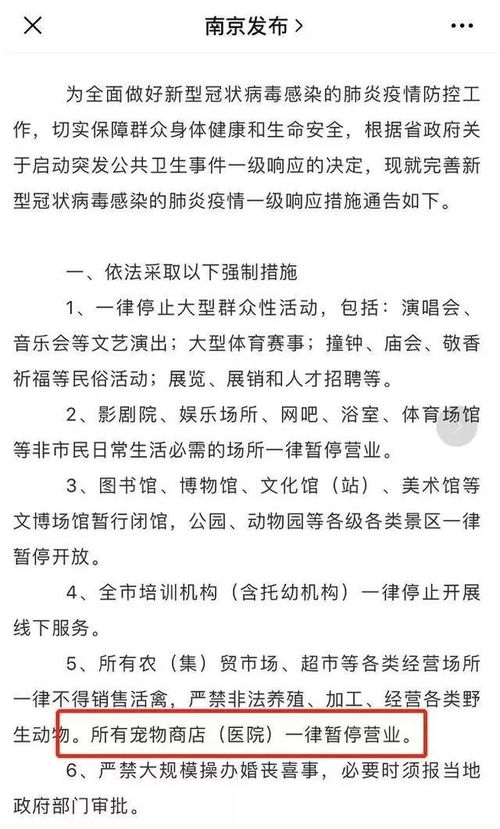 哥哥乖乖宠我短剧全集免费观看资讯 哥哥乖乖宠我短剧全集免费观看资讯 --第1张