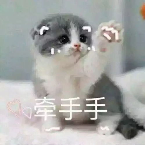 小叔叔的辈分 叔的小祖宗闪婚后爆宠了短剧全集免费观看资讯 --第1张