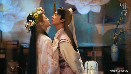 赘婿2季大结局视频_赘婿2季剧情--第1张