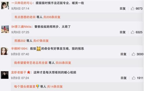 首富从倒退时间开始短剧全集免费观看资讯 首富从做倒爷开始下载 --第1张