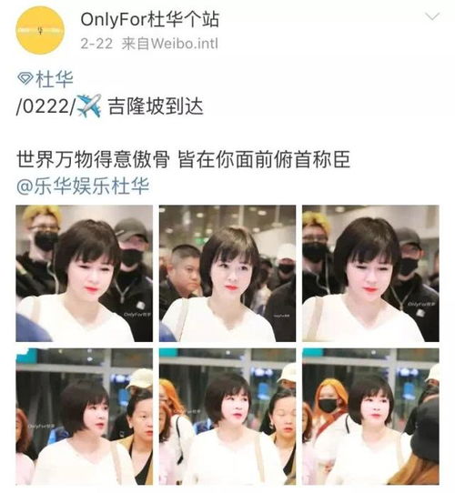 救命老公竟是总裁大人免费观看资讯，黑化总裁葛晓希与何健麒的爱恨纠葛--第1张