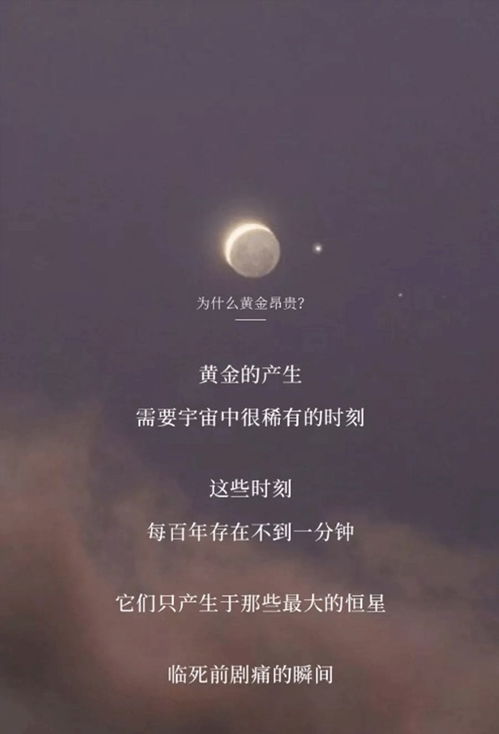 予你缠绵，尽悲欢短剧全集免费观看资讯--第1张