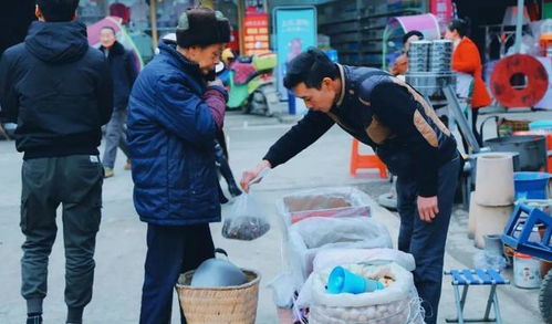 傻夫归来沈小姐束手就擒，傻夫追妻忙小说全集免费观看资讯--第1张