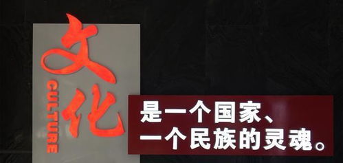 神医钓王短剧免费观看资讯，神医取鱼钩全集免费观看--第1张