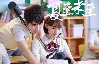夏至未至免费观看资讯，夏至未至短剧全集在线看--第1张