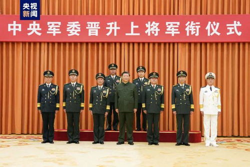 天衔元帅短剧全集免费观看，资讯网推荐--第1张